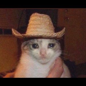 Meet your Posher, Edward